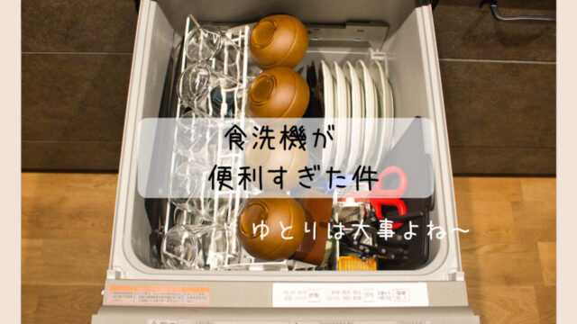 クリナップ ZWPP45M21GDS シルバー ビルトイン食器洗い乾燥機 - 4